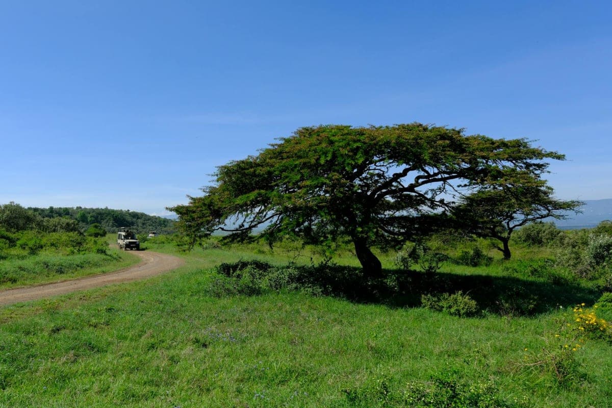 Travel to Kenya